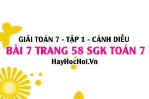 Giải bài 7 trang 58 Toán 7 Tập 1 SGK Cánh Diều